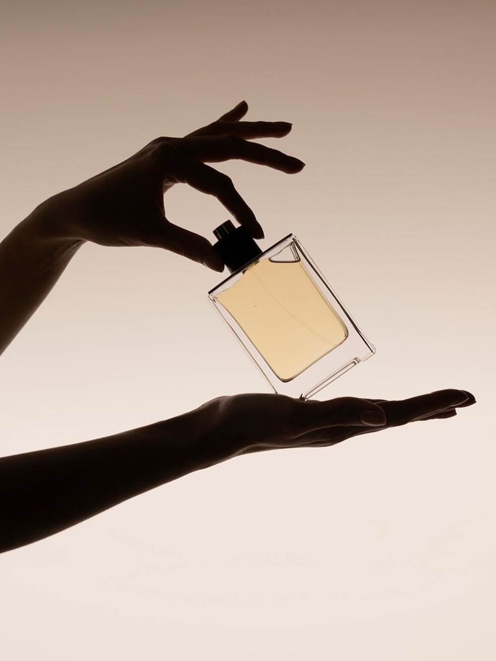 Fragrances about category